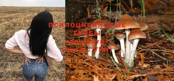 таблы Елабуга