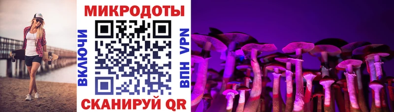 Псилоцибиновые грибы ЛСД  Купить  Заозёрный 